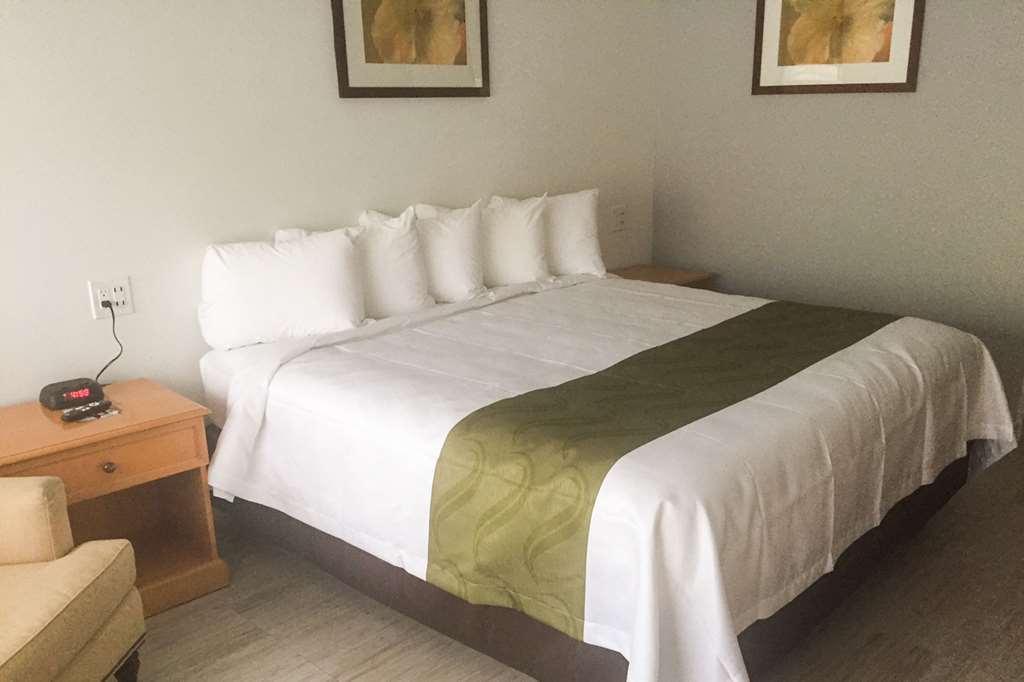 Quality Inn University North I-75 Гейнсвил Стая снимка